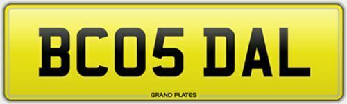 Dales dayle daley dalton - dayle,
